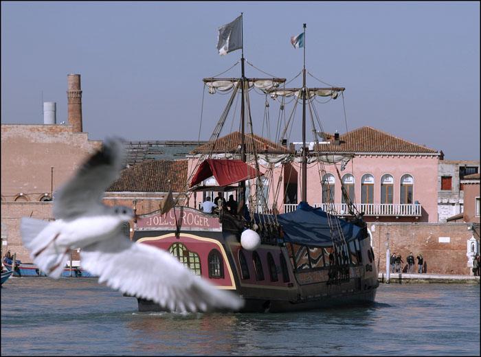 _MG_4423 Kopie_galerie.jpg